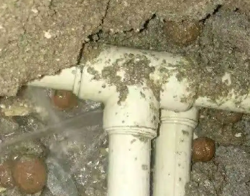 乳山测漏水多少钱