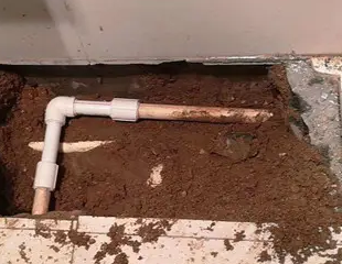 乳山测漏水哪家好