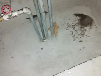 乳山卫生间测漏水价格明细