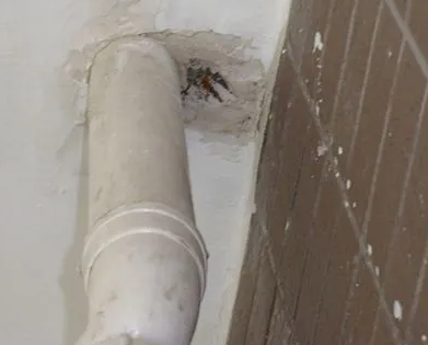 乳山漏水检测哪家好